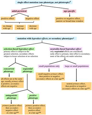 Evolution, Chance, and Aging